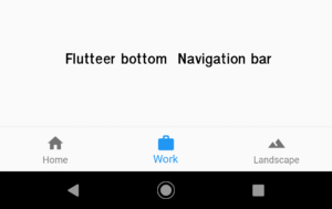 flutter bottom Navigation bar 