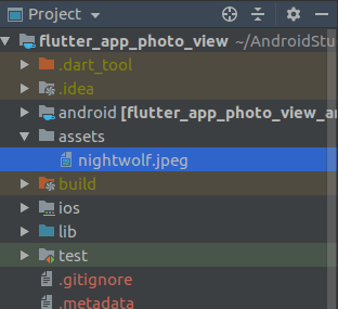 creating image directory in flutter app