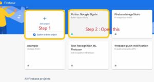 google sign in flutter firebase google sign in flutter firebase