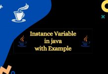 instance variable in java with example