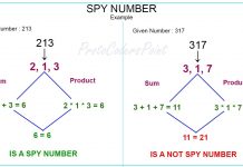 dart program to check spy number