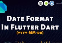 Date Format In Flutter Dart