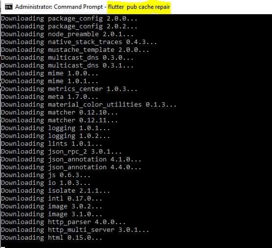 flutter pub cache repair