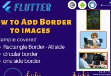 How to Add Border to images in flutter
