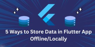 5 Ways to Store Data in Flutter App Offline/Locally